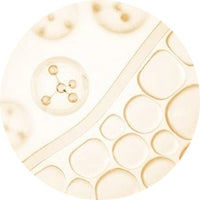 icon-text